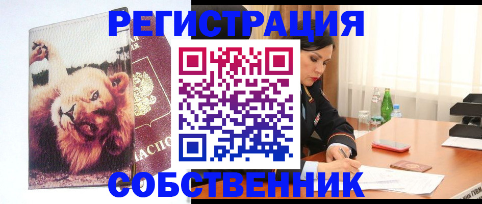 прописка от собственника в Железногорске